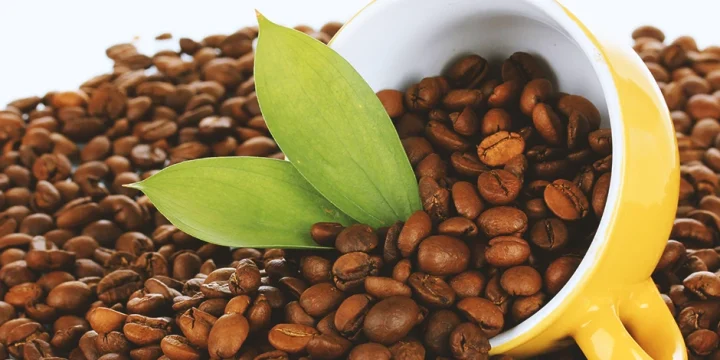 A close up shot of coffee beans in a mug