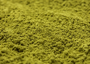 Green tea leaf extract powder