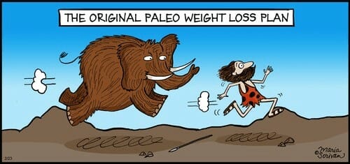 Paleo weight loss plan comic