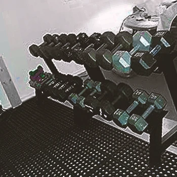 CTA of Papababe 2-Tier Dumbbell Rack
