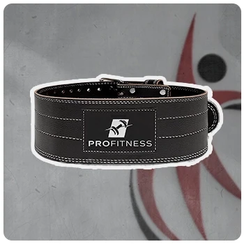 ProFitness Workout Belt CTA