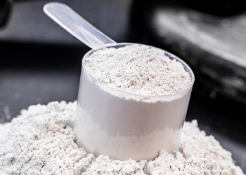 Whey protein concentrate on a scoop